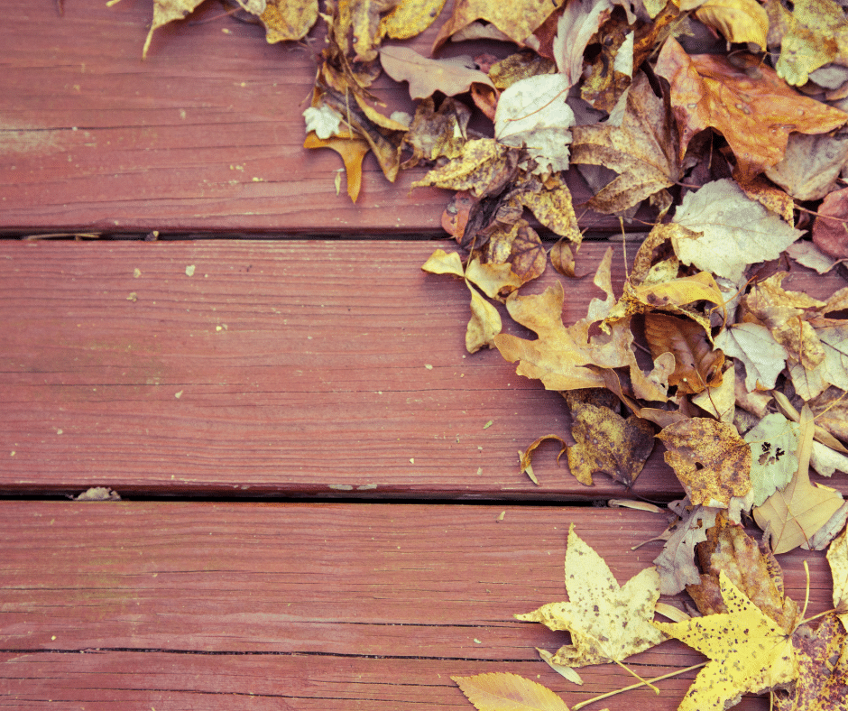 Fall Maintenance Tips For Composite And Cedar Decks Wymore Deck And Fence